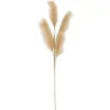 New 42 Inch Beige Grass Stem - cozylivehome.com | we sell a wide range of comfortable household items Giftware