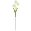 Flash Sale 26 Inch Cream Ball Flower Stem - cozylivehome.com | we sell a wide range of comfortable household items Giftware