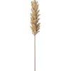 Best 36.5 Inch Cream Flocked Cypress Branch - cozylivehome.com | we sell a wide range of comfortable household items Giftware