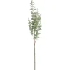 Hot 38 Inch Light Green Gunnii Eucalyptus Stem - cozylivehome.com | we sell a wide range of comfortable household items Giftware