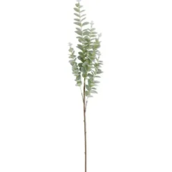Hot 38 Inch Light Green Gunnii Eucalyptus Stem - cozylivehome.com | we sell a wide range of comfortable household items Giftware