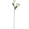 Store 25 Inch White Real Touch Magnolia - cozylivehome.com | we sell a wide range of comfortable household items Giftware