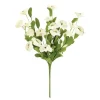 Outlet 13222A-CR 18 Inch Cream Dianthus Spray w/Eva Foliage - cozylivehome.com | we sell a wide range of comfortable household items Giftware