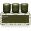 Balsam & Cedar Candle Trio Gift Set - cozylivehome.com | we sell a wide range of comfortable household items^ Shop All