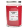 CINNAMON & SPICE CANDLE 21 OZ - cozylivehome.com | we sell a wide range of comfortable household items^ Shop All