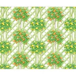CITRUS TOPIARIES RECTANGLE PLACEMATS 12 PK - cozylivehome.com | we sell a wide range of comfortable household items^ Shop All