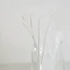 CLEAR BENT GLASS STRAW - cozylivehome.com | we sell a wide range of comfortable household items^ Shop All