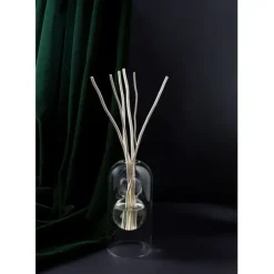 Clear Glass Diffuser with Willow Sticks 180ml Plastic Refill Bottle and a funnel - cozylivehome.com | we sell a wide range of comfortable household items^ Shop All