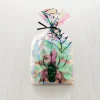 Clear Spider Web Iridescent Halloween Treat Bags & Ties - cozylivehome.com | we sell a wide range of comfortable household items^ Shop All