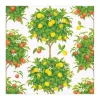 COCKTAIL NAPKIN CITRUS TOPIARY - cozylivehome.com | we sell a wide range of comfortable household items^ Shop All