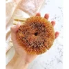 Coconut Round Scrubber - cozylivehome.com | we sell a wide range of comfortable household items^ Shop All