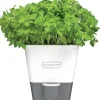 Cole & Mason Self-Watering Potted Herb Saver - cozylivehome.com | we sell a wide range of comfortable household items^ Shop All