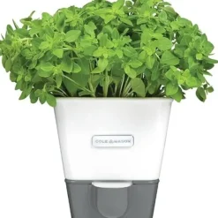 Cole & Mason Self-Watering Potted Herb Saver - cozylivehome.com | we sell a wide range of comfortable household items^ Shop All