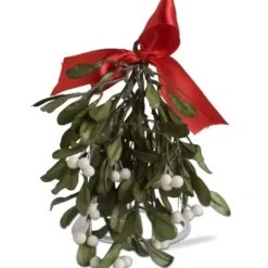 Best Sale Dark Green Hanging Mistletoe - cozylivehome.com | we sell a wide range of comfortable household items Holiday Decor