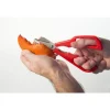 DETACHABLE SEAFOOD SHEARS - cozylivehome.com | we sell a wide range of comfortable household items^ Shop All