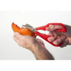 DETACHABLE SEAFOOD SHEARS - cozylivehome.com | we sell a wide range of comfortable household items^ Shop All