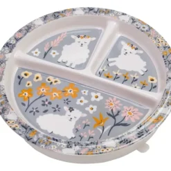 Divided Suction Plate - cozylivehome.com | we sell a wide range of comfortable household items^ Shop All