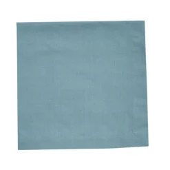 ELEMENTS NAPKIN AQUA - cozylivehome.com | we sell a wide range of comfortable household items^ Shop All