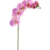 Fashion FSO173-PK/RB 30"RT PHALAENOPSIS SPRAY 9F - cozylivehome.com | we sell a wide range of comfortable household items Giftware