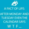 FUNNY NAPKIN WTF WEEKDAYS - cozylivehome.com | we sell a wide range of comfortable household items^ Shop All