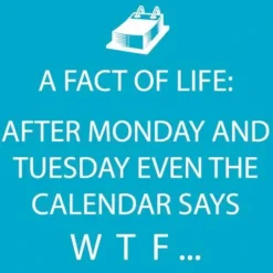 FUNNY NAPKIN WTF WEEKDAYS - cozylivehome.com | we sell a wide range of comfortable household items^ Shop All