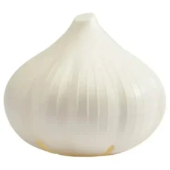 GARLIC SAVER - cozylivehome.com | we sell a wide range of comfortable household items^ Shop All