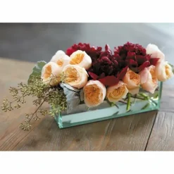 Glass Plate Planter - cozylivehome.com | we sell a wide range of comfortable household items^ Shop All