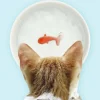 Goldfish Pet Bowl - cozylivehome.com | we sell a wide range of comfortable household items^ Shop All