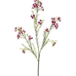 Flash Sale GSW121-MV/PK 27"WAXFLOWER SPRAY X3 72F36B - cozylivehome.com | we sell a wide range of comfortable household items Giftware