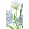 GUEST TOWEL AGAPANTHUS GARDEN - cozylivehome.com | we sell a wide range of comfortable household items^ Shop All