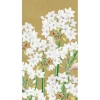 GUEST TOWEL PAPERWHITES GOLD - cozylivehome.com | we sell a wide range of comfortable household items^ Shop All