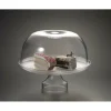 Shop H-7020 Acrylic Cake Stand - cozylivehome.com | we sell a wide range of comfortable household items Giftware