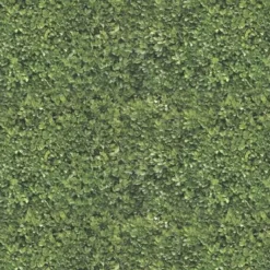 Hampton Hedge Placemat Set of 24 - cozylivehome.com | we sell a wide range of comfortable household items^ Shop All