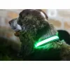 Illuminated Pet Light Up Collar - cozylivehome.com | we sell a wide range of comfortable household items^ Shop All