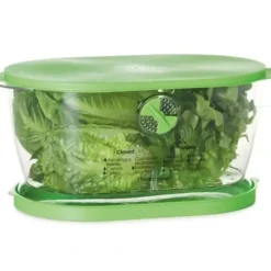 LETTUCE KEEPER - cozylivehome.com | we sell a wide range of comfortable household items^ Shop All