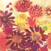 Lunch Napkin, Bunch of Fall Flowers - cozylivehome.com | we sell a wide range of comfortable household items^ Shop All