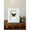Outlet Marble Frame 4"x6" - cozylivehome.com | we sell a wide range of comfortable household items Shop All