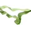 New Mint T-Rex Cookie Cutter - cozylivehome.com | we sell a wide range of comfortable household items Shop All
