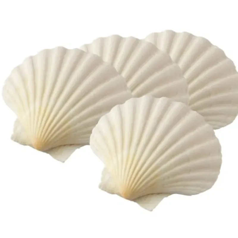 Sale NATURAL SCALLOP BAKING SHELLS 4" SET/4 - cozylivehome.com | we sell a wide range of comfortable household items Shop All