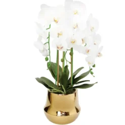 Discount OP2722 White Orchid plant in Round shiny gold vase - cozylivehome.com | we sell a wide range of comfortable household items Giftware