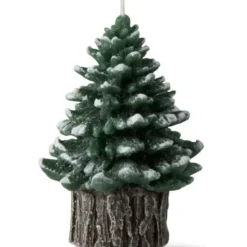 Store Rustic Spruce Candle - cozylivehome.com | we sell a wide range of comfortable household items Shop All