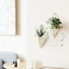 Flash Sale Trigg wall Planter & Storage, Small Set/2 - cozylivehome.com | we sell a wide range of comfortable household items Shop All