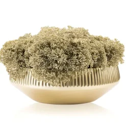 Best VAF-CF-G-BG Vase Flower - Gold Bowl - Greenery - cozylivehome.com | we sell a wide range of comfortable household items Giftware