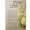 Shop VP-PB-LU-30X17 Vinyl Print - Lulav By Batya - 30x17 - cozylivehome.com | we sell a wide range of comfortable household items Shop All