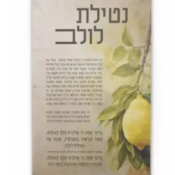Shop VP-PB-LU-30X17 Vinyl Print - Lulav By Batya - 30x17 - cozylivehome.com | we sell a wide range of comfortable household items Shop All