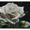 Online YK-21 23.5X15.5 WALL CLOCK, WHITE ROSE - cozylivehome.com | we sell a wide range of comfortable household items Shop All